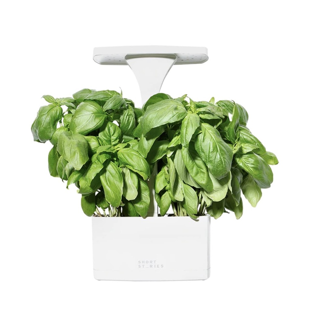 NEW IN BOX SHORT STORIES LED INDOOR PLANTER
